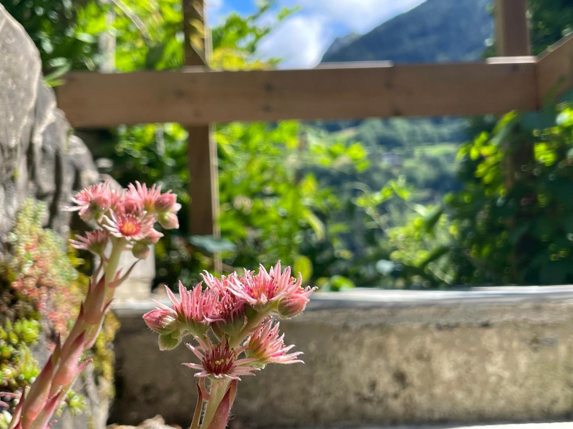 Hébergement de vacances Belle Folie